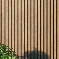Pannello di facciata WPC, 219x2900 mm, bicolore, ROVERE CHIARO & NERO (0,63 m²)