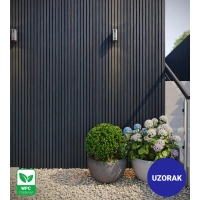 [CAMPIONE] Pannello di facciata per esterni, WPC, 219x2900 mm, NERO, effetto legno