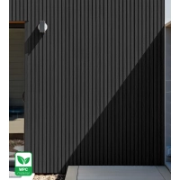 Pannello di facciata WPC, 219x2900 mm, NERO finitura liscia (0,63 m²)