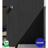 [CAMPIONE] Pannello di facciata per esterni, WPC, 219x2900 mm, NERO, effetto legno