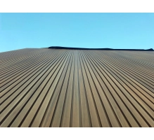 Pannello di facciata WPC PREMIUM, ROVERE ANTICO, 2900 mm (0,64 m²)