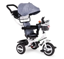 Triciclo per bambini EcoToys, 3 in 1, grigio