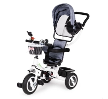 Triciclo per bambini EcoToys, 3 in 1, grigio