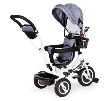 Triciclo per bambini EcoToys, 3 in 1, grigio