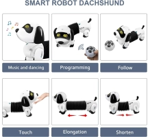 Cane robot DOGGY, giocattolo per bambini, bassotto, telecomando + seguito