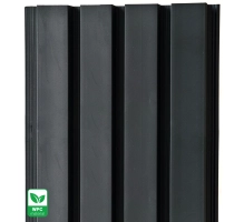 Pannello di facciata WPC, 219x2900 mm, NERO finitura liscia (0,63 m²)