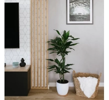Listelli decorativi 3D, listelli in legno per pareti, soffitti o pareti divisorie (28x37 mm) (rovere sonoma)