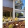 Pannello di facciata WPC PREMIUM, ROVERE ANTICO, 2900 mm (0,64 m²)