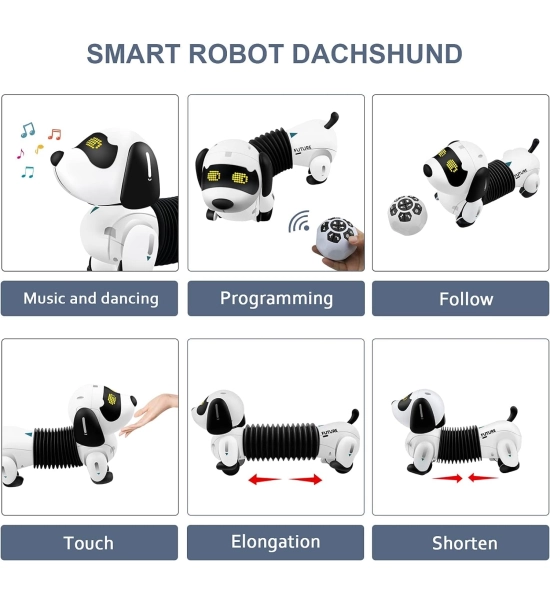 Cane robot DOGGY, giocattolo per bambini, bassotto, telecomando + seguito